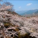 하동약국 이미지