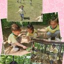 부영서해마트 이미지