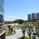 일산호수공원 가로수길 이미지