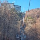 쏭쏭돈까스 | 하이원리조트 스키장 밸리콘도 마운틴콘도 카페테리아 메뉴 가격 (눈꽃치즈돈까스 돈코츠라멘)