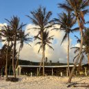 소나기마케팅 | [괌 건비치 닛코 선셋 바베큐 디너쇼 추천&솔직후기]