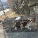 언양 동물병원 이미지