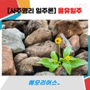 모두여행사주 이미지