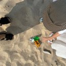 코레스코치악산콘도미니엄 | 강릉1박2일,강릉중앙시장, 신라모노그램, 강릉 송정해변