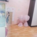 간석3동-15 이미지