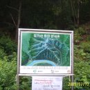 입실약국 이미지