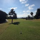 크라운CC 이미지