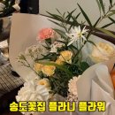 청담해리슨병원 | 송도 무인 꽃집 24시간 픽업 가능한 1공구 플라니플라워 기프트샵