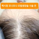 성원장 이미지