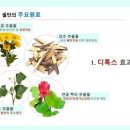 힐링운동샵 이미지