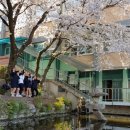 성지여자중학교 Daum카페