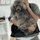 또또살롱 이미지