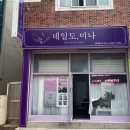 네일도미나