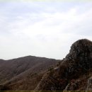 영남초교 이미지