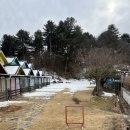 파트라슈 애견 펜션 | 가평 애견동반 펜션 : 파트라슈 애견펜션 내돈내산 후기 가성비펜션