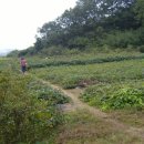 협동농장 이미지