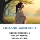 썬클럽 이미지