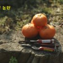 주연농장 이미지