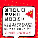 키즈사랑 태권도 이미지