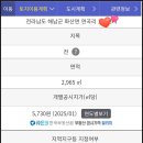 조은날공인중개사사무소 이미지