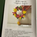 클레이솔 이미지