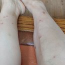 장마 언제 끝나나요. 이미지