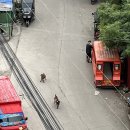 더 필통 | 세부 3개월 어학연수 내돈내산 후기 비세부 필통유학