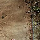 신안평거녹지 이미지