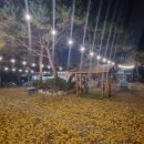 숲과한옥