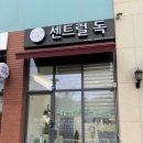 센트럴 독 이미지