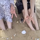 강원도 삼척여행. 삼척해수욕장 삼척맛집 삼척브런치카페 추천 / 수원에서 삼척가는법 / 모래하트샷 조...