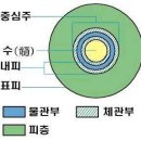四字成語 총정리 <ㄱ> 722 관상원예~관서방언