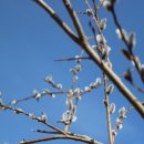 그리고 봄 펜션 민박 이미지