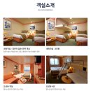 롯데관광대전지사 | 러시아 블라디보스톡 크루즈, 럭셔리 코스타 여행 가격 & 상품분석 (feat, 불타는 청춘)