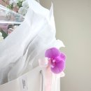 소도화