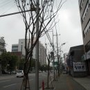 영등포좋은나무 이미지