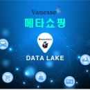 바네스(VANESSE) 이미지