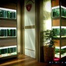 아쿠아라이프 이미지