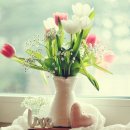 타로심리상담사 3급 이미지