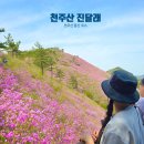천주산 등산로 | 창원 천주산 진달래 축제 취소 등산 코스 달천계곡 주차장