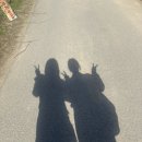 용목장 | 강원도 춘천 가볼만한 곳 추천! 해피초원목장 🐑🐇 방문 후기