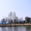 두물머리 이미지