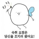 엄마랑 놀자 키즈글램핑 이미지