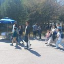 청계초등학교 | 초2입니다. 수학경시대회 응시해야 할까요?