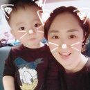 뽀꾸뽀꾸 이미지