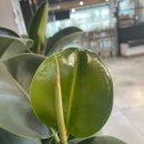 교동면옥 안동옥동점 이미지