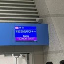 속옷싸게사자 | 싱가포르 1
