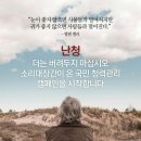 소리대장간청력관리센터 이미지