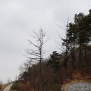 돌고개가든 이미지