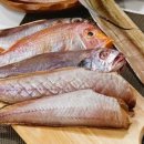 용궁수산시장 이미지